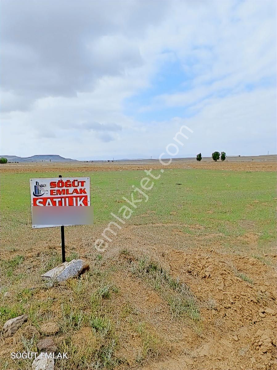 Söğüt Emlak'tan Fabrika Arkasında Satılık Tarla - Görsel 8