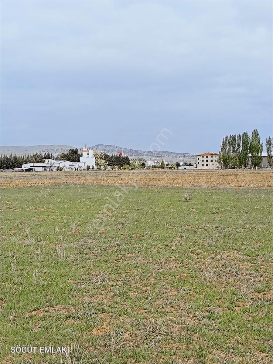 Söğüt Emlak'tan Fabrika Arkasında Satılık Tarla - Görsel 2