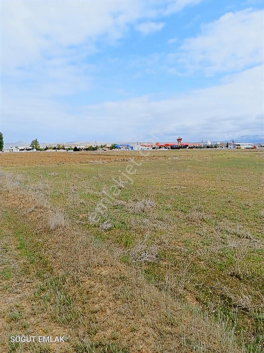 Söğüt Emlak'tan Fabrika Arkasında Satılık Tarla - Görsel 10