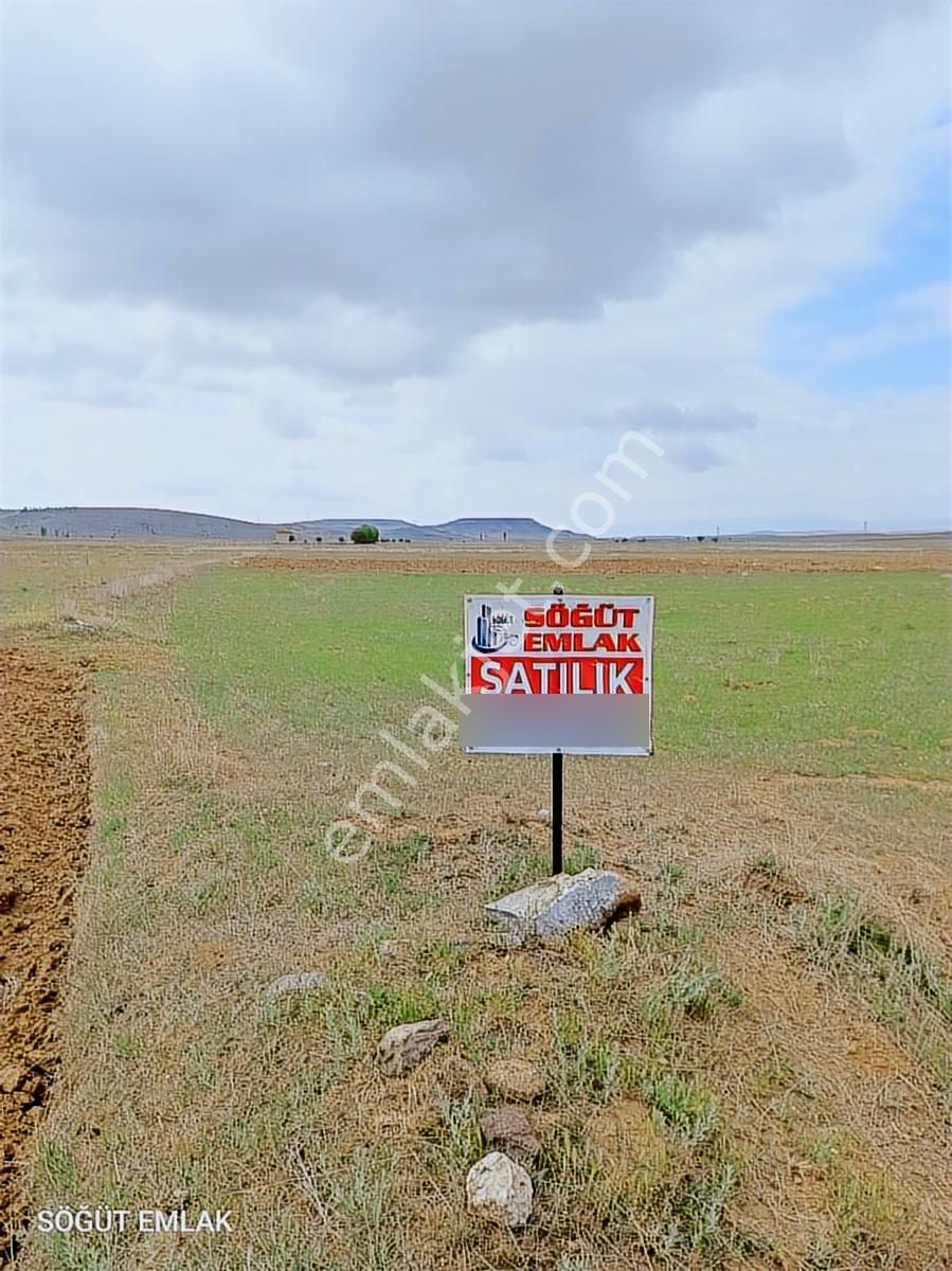 Söğüt Emlak'tan Fabrika Arkasında Satılık Tarla