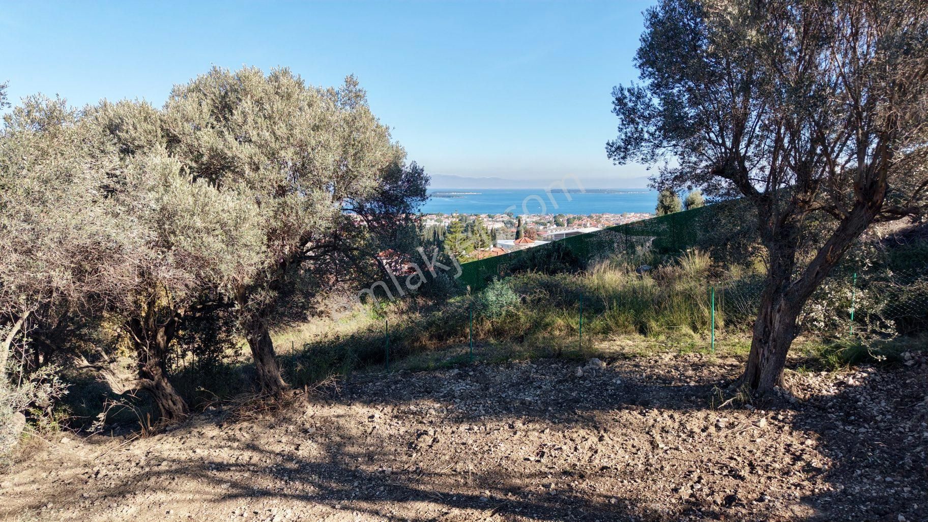 Urla Denizli Mh Deniz Ve Doğa Manzaralı Arsa - Görsel 6