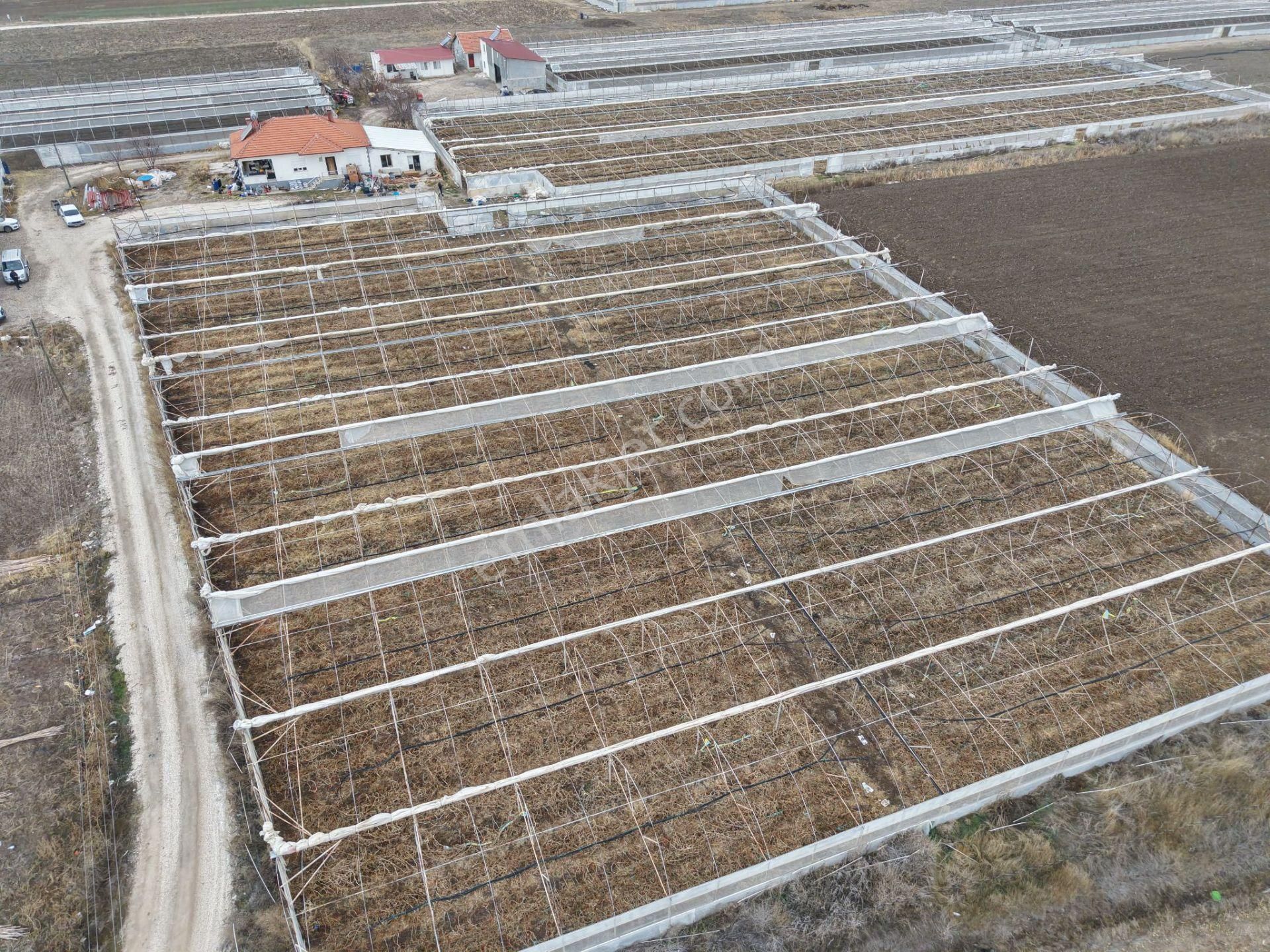 Emsallerinin Altında Fiyata Hazır Kurulu Sera Ve Ev Sondajı Hepsi Mevcut