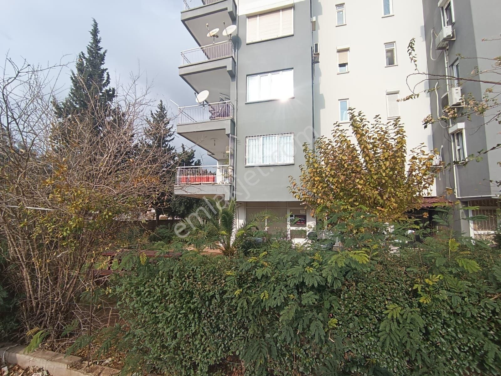 Evinya Gayrilmenkul Den Kiralık Dükkan - Görsel 3