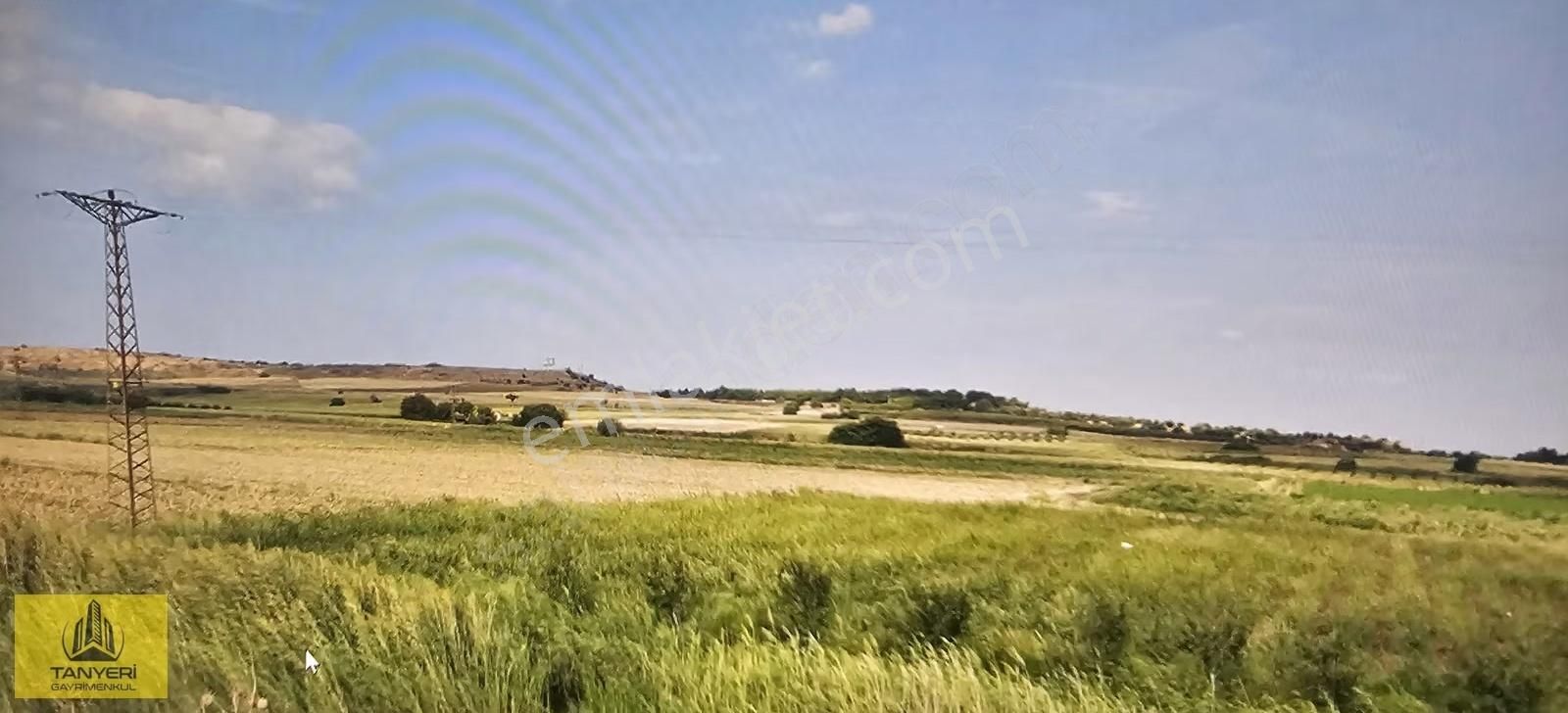 Tanyeri Gayrimenkulden Merkez Kumkale Köyü Satılık Tarla