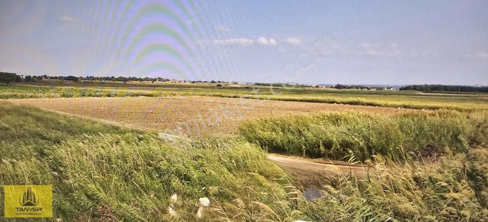 Tanyeri Gayrimenkulden Merkez Kumkale Köyü Satılık Tarla - Görsel 5