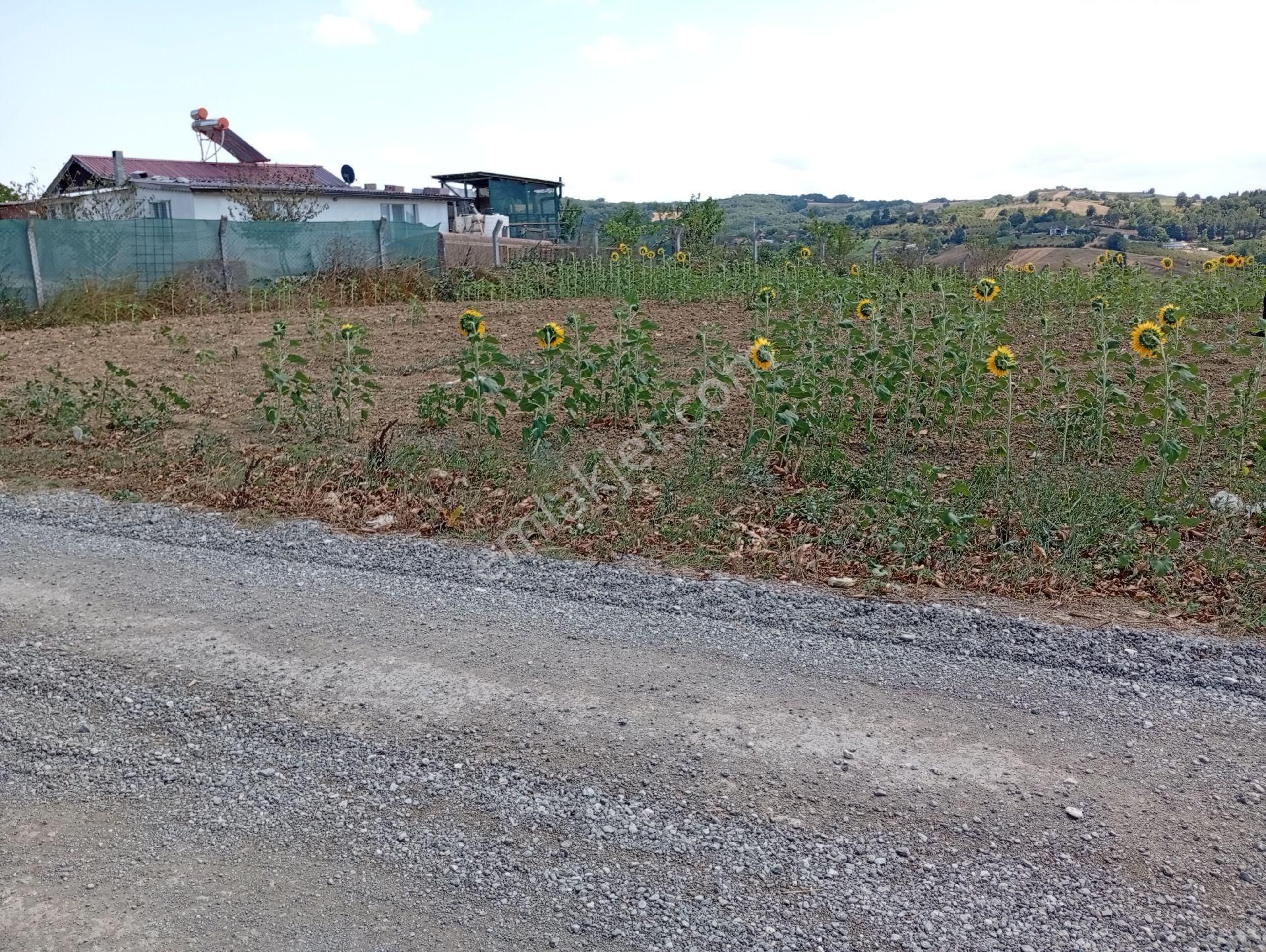 Sahibinden Araç Takasına Açık - Görsel 11