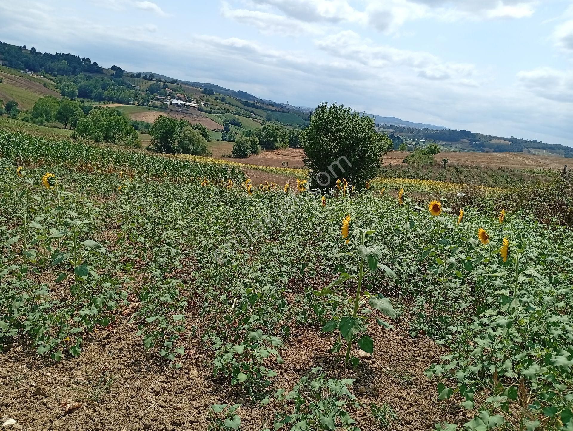 Sahibinden Araç Takasına Açık - Görsel 12