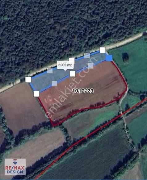 Sakarya-kaynarca İlçesi İşaret Mah.'nde Satılık 16.716 M2 Tarla - Görsel 3