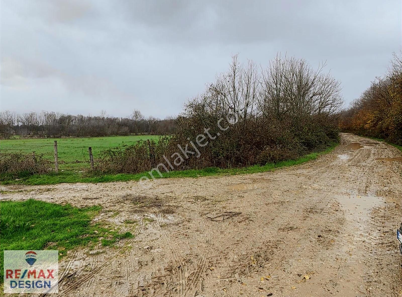 Sakarya-kaynarca İlçesi İşaret Mah.'nde Satılık 16.716 M2 Tarla - Görsel 8