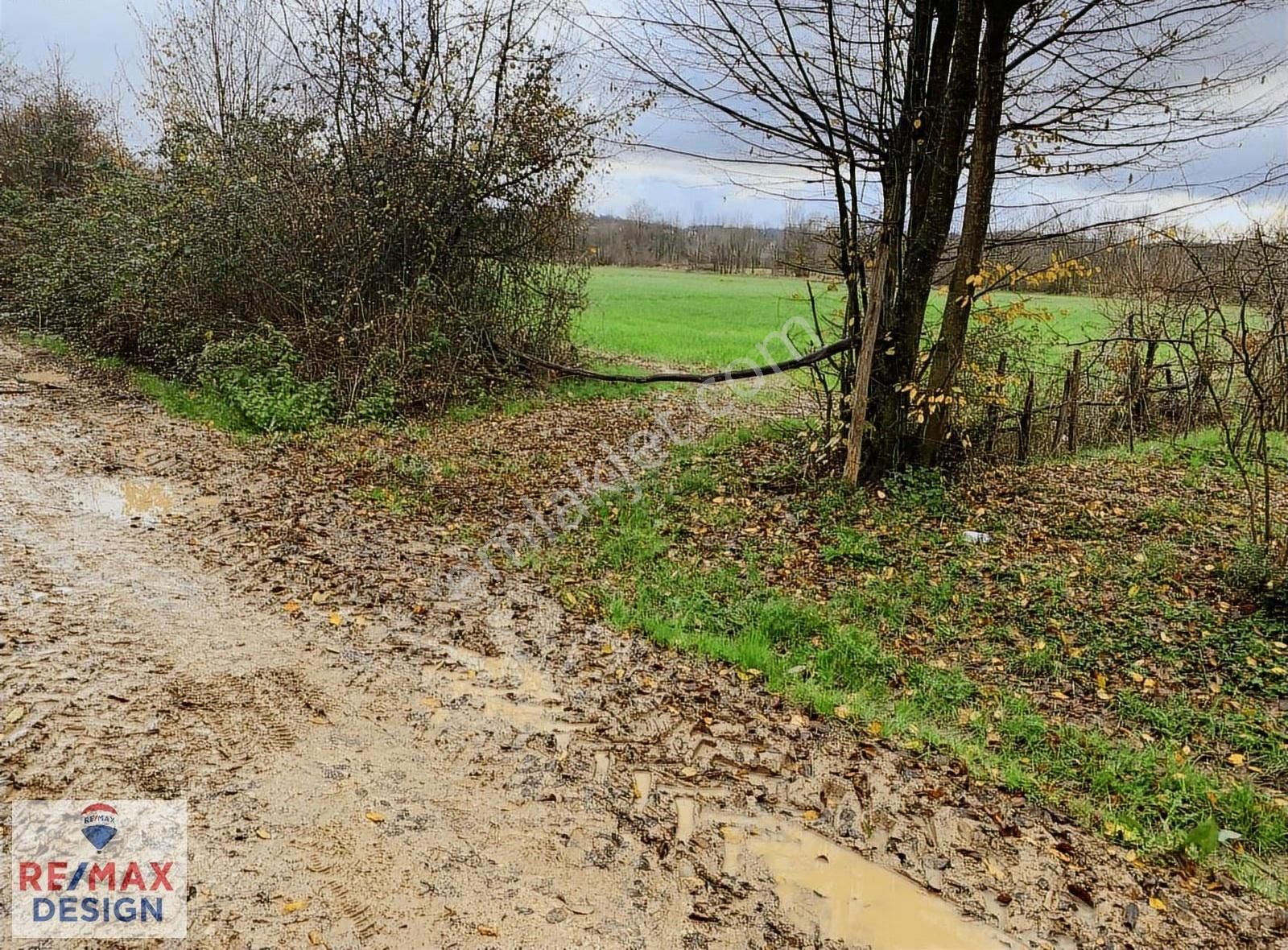 Sakarya-kaynarca İlçesi İşaret Mah.'nde Satılık 16.716 M2 Tarla - Görsel 11