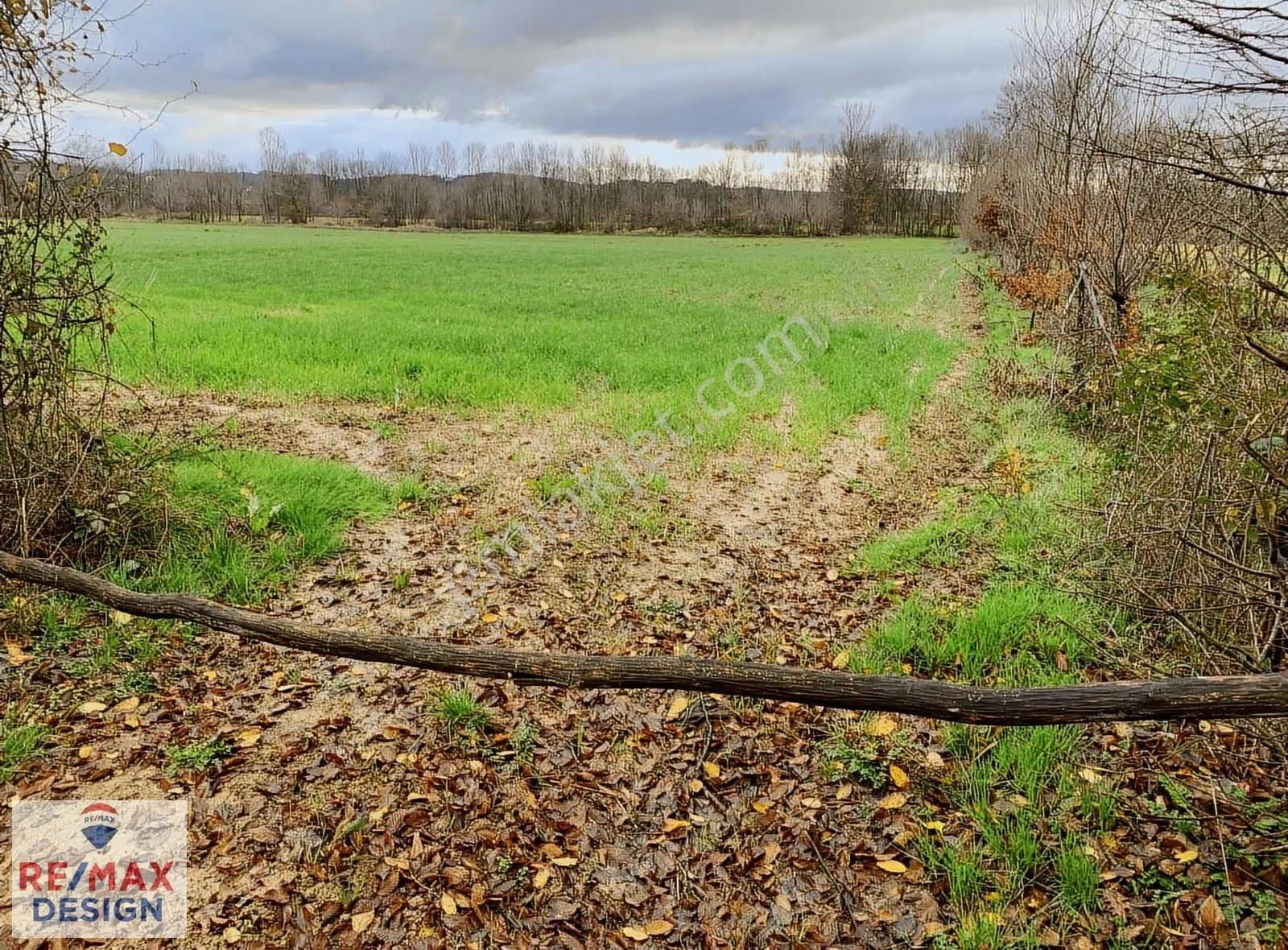 Sakarya-kaynarca İlçesi İşaret Mah.'nde Satılık 16.716 M2 Tarla - Görsel 9