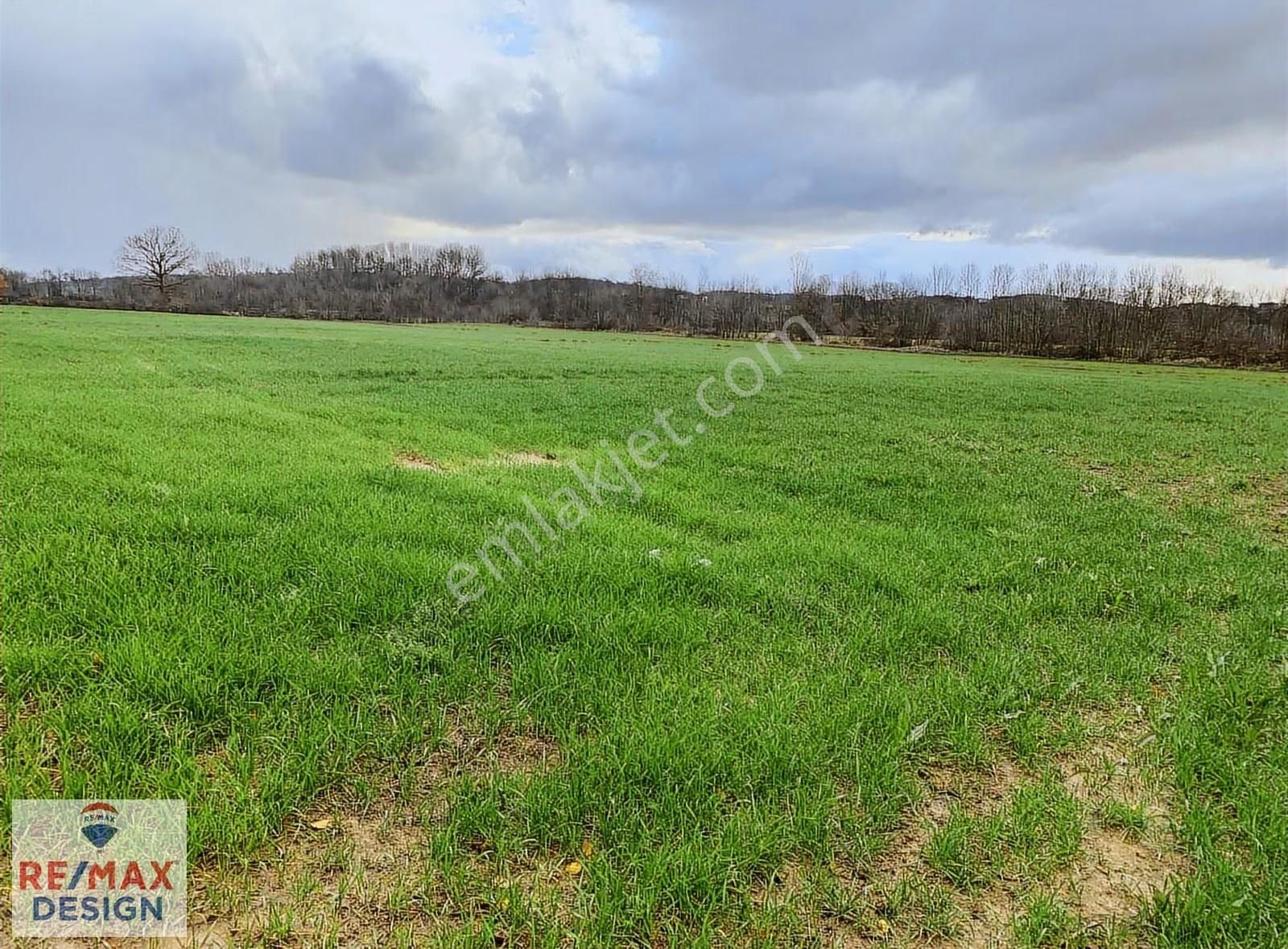 Sakarya-kaynarca İlçesi İşaret Mah.'nde Satılık 16.716 M2 Tarla