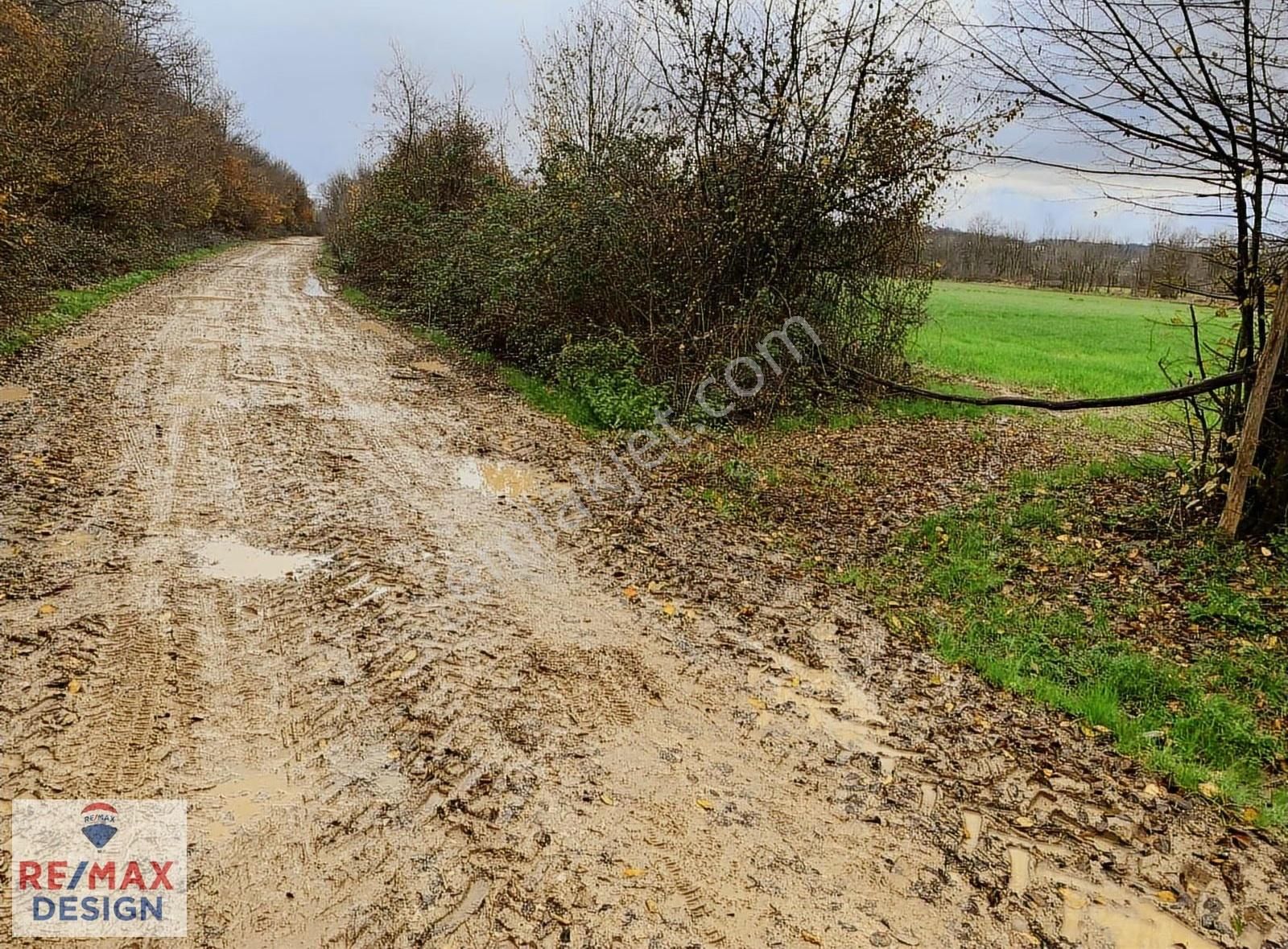 Sakarya-kaynarca İlçesi İşaret Mah.'nde Satılık 16.716 M2 Tarla - Görsel 16