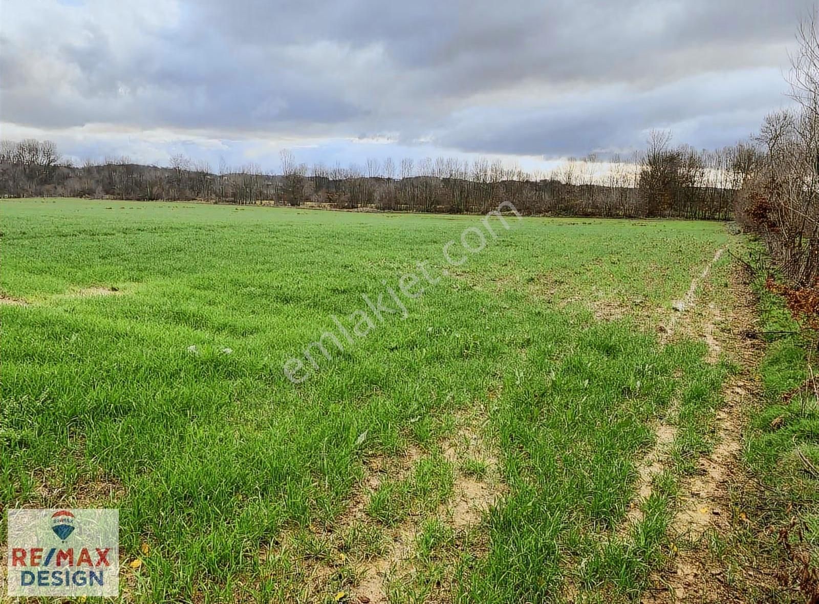 Sakarya-kaynarca İlçesi İşaret Mah.'nde Satılık 16.716 M2 Tarla - Görsel 15