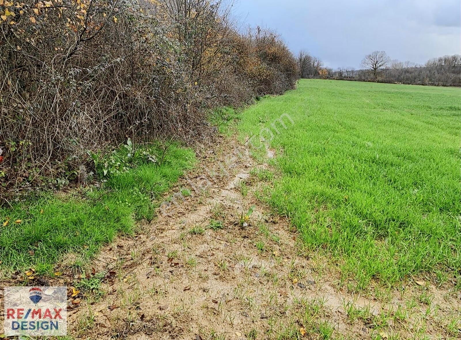 Sakarya-kaynarca İlçesi İşaret Mah.'nde Satılık 16.716 M2 Tarla - Görsel 19