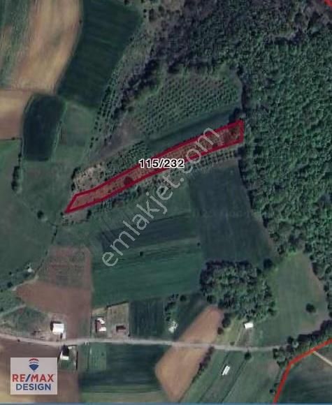 İzmit Yenice Mahallesi'nde 2872 Metre² Satılık Fındıklık - Görsel 2