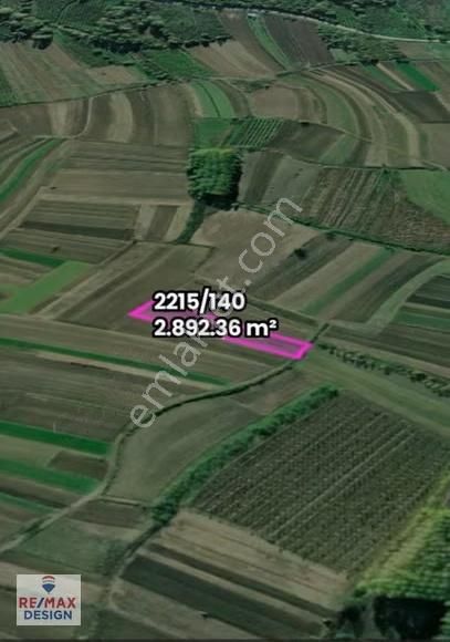 Hendek A.çalıcada Bitişik İki Adet Tarla Remax Design