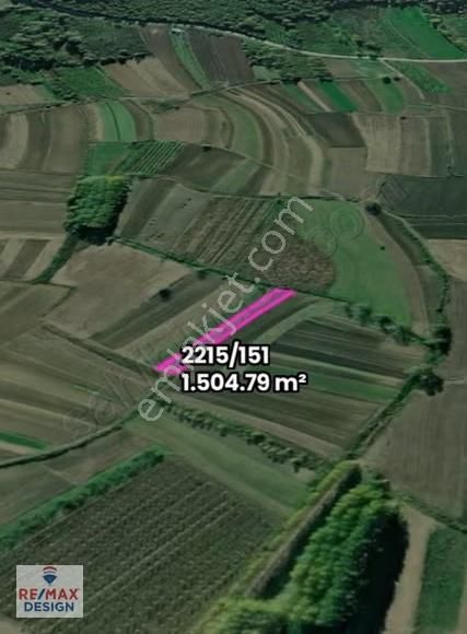 Hendek A.çalıcada Bitişik İki Adet Tarla Remax Design - Görsel 2