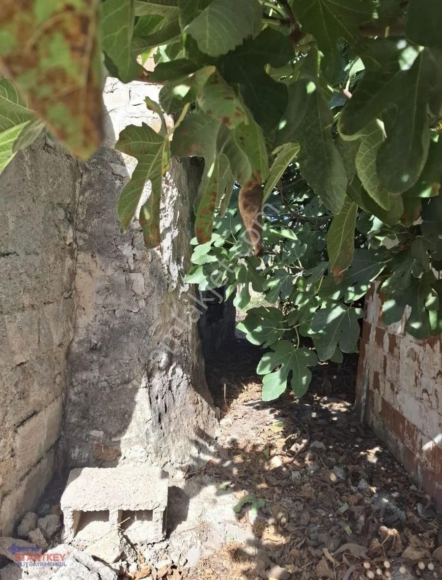 Startkey Pelit Yazı'da Satılık Bahceli Taş Ev - Görsel 10