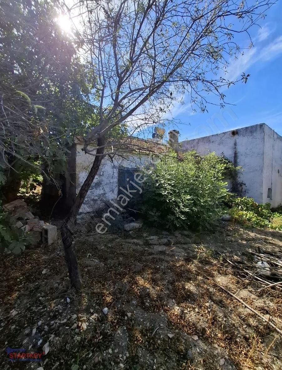 Startkey Pelit Yazı'da Satılık Bahceli Taş Ev - Görsel 15