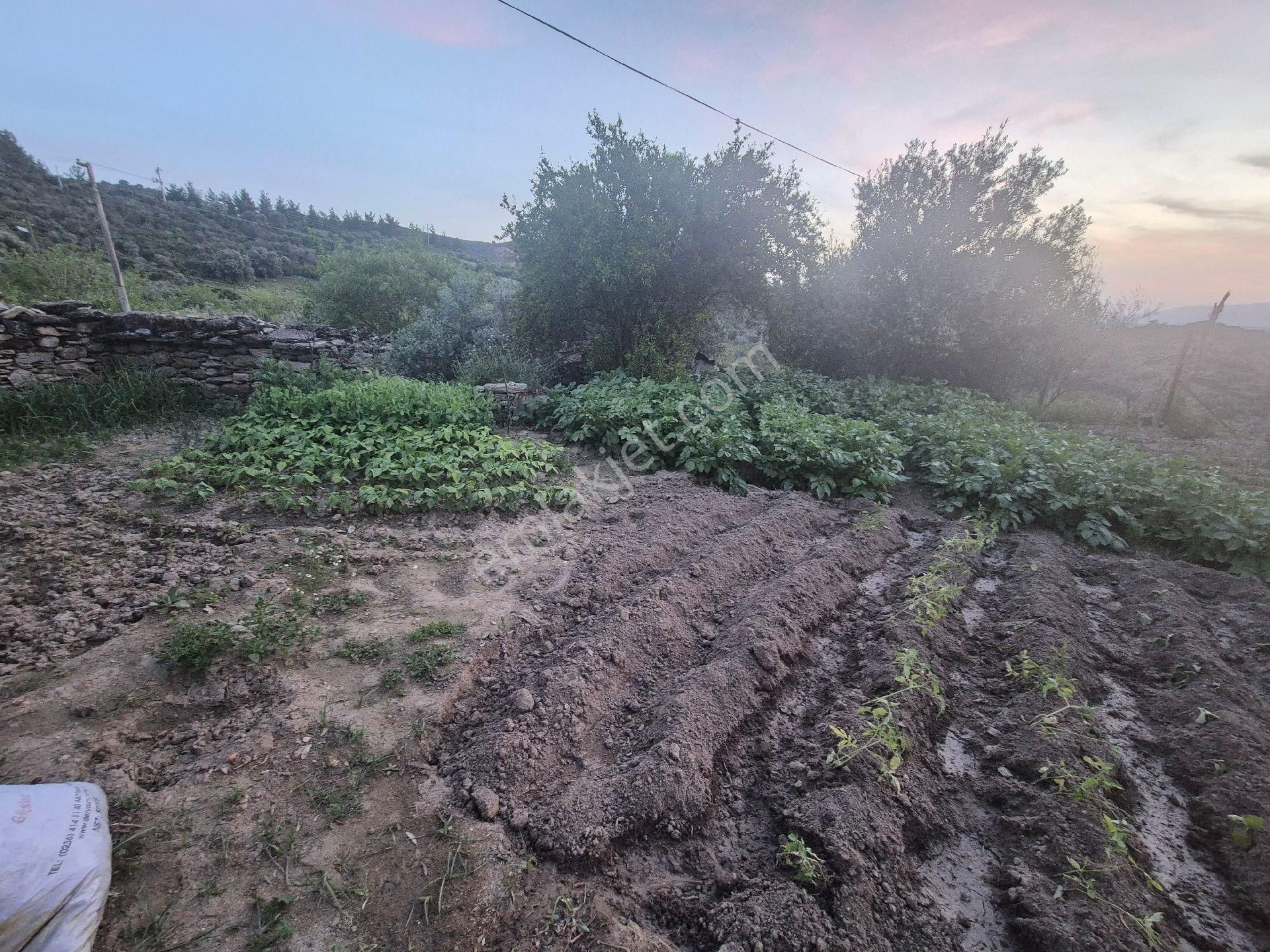 !!!.. 3+1 Müstakil Kiragarantili E.banyolu Klima Depo Kümes Tandır Mükemmel Ev - Görsel 21
