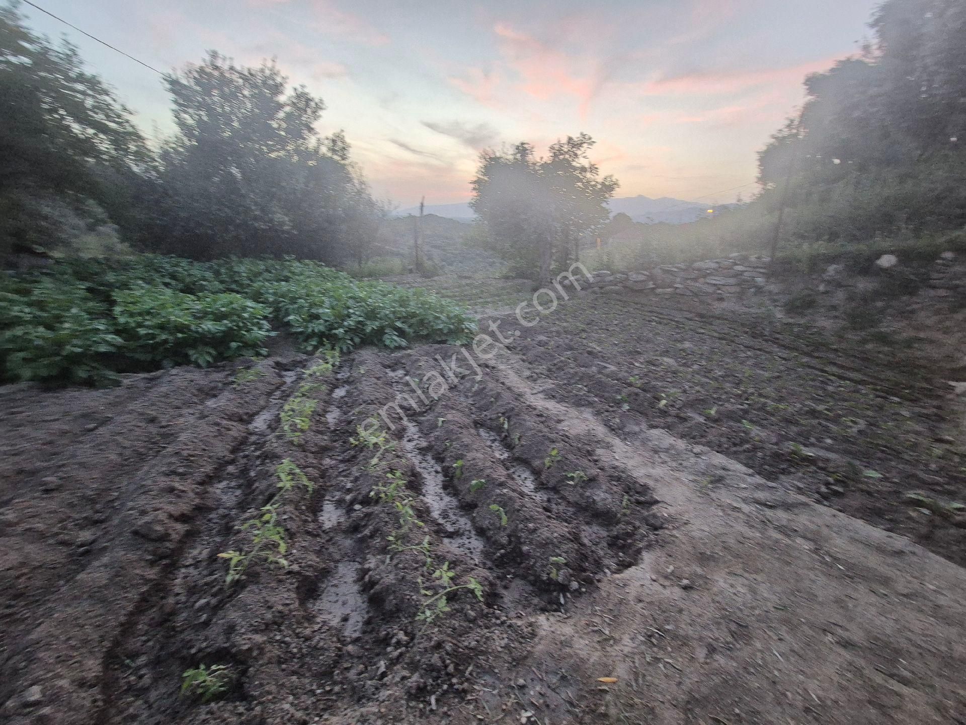 !!!.. 3+1 Müstakil Kiragarantili E.banyolu Klima Depo Kümes Tandır Mükemmel Ev - Görsel 20