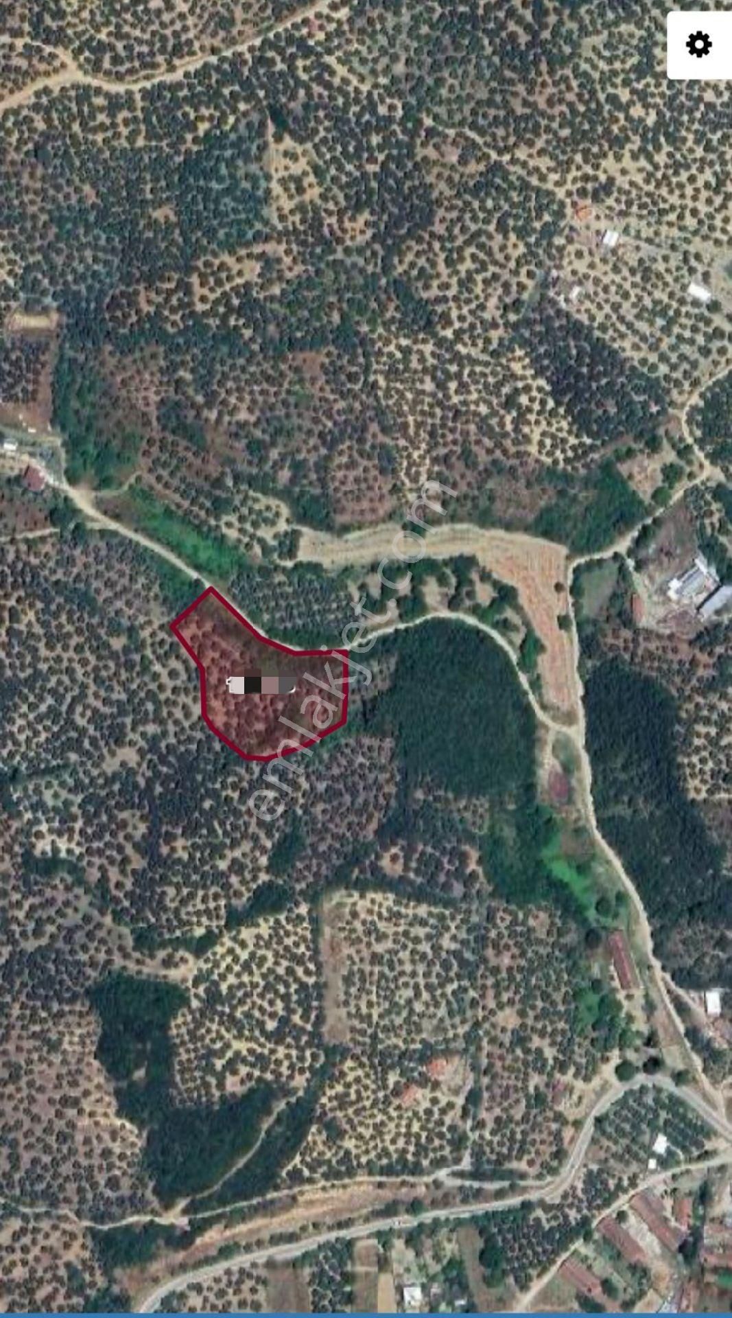 Ena Group Bursa Mudanya Halilbey'de 4767 M2 Satılık