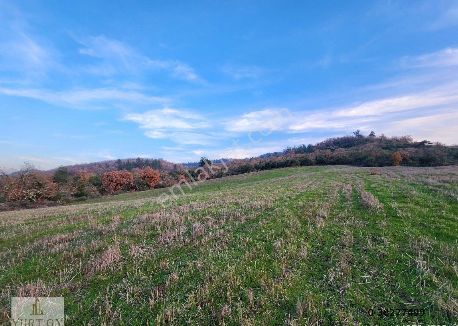 Çanakkale Çan 8.750 M2 Satılık Arazi - Görsel 9