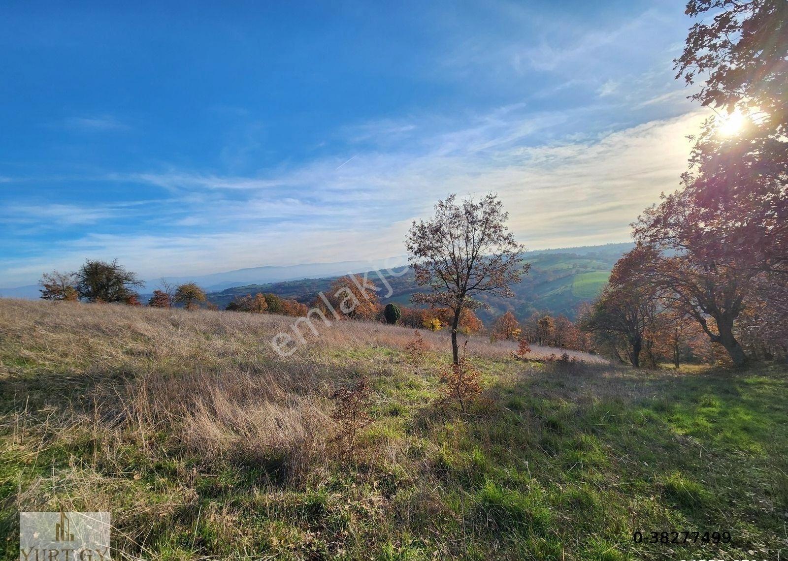 Çanakkale Çan 6.650 M2 Satılık Arazi - Görsel 16