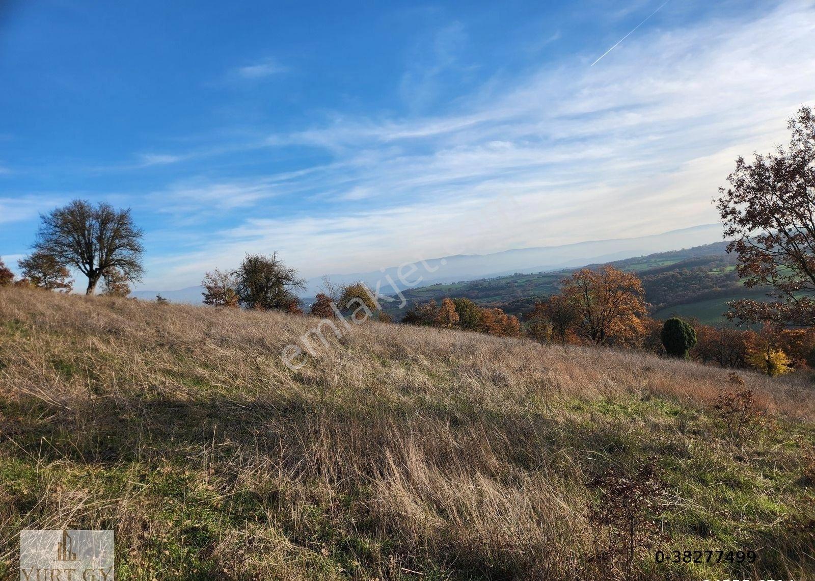 Çanakkale Çan 6.650 M2 Satılık Arazi - Görsel 11