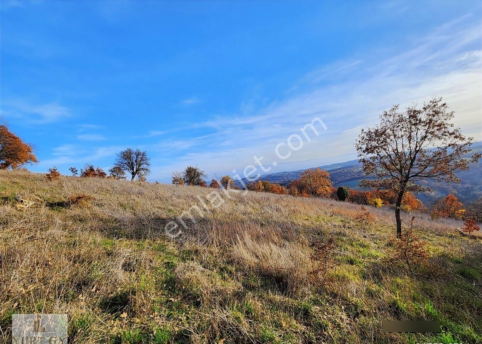 Çanakkale Çan 6.650 M2 Satılık Arazi - Görsel 10