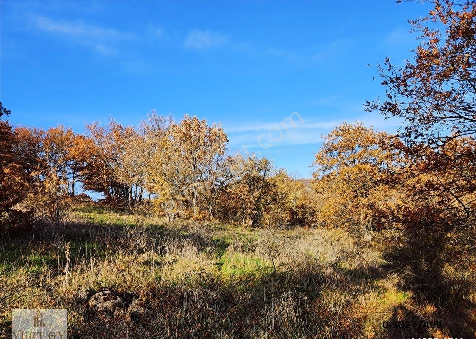 Çanakkale Çan 12.850 M2 Satılık Arazi - Görsel 13