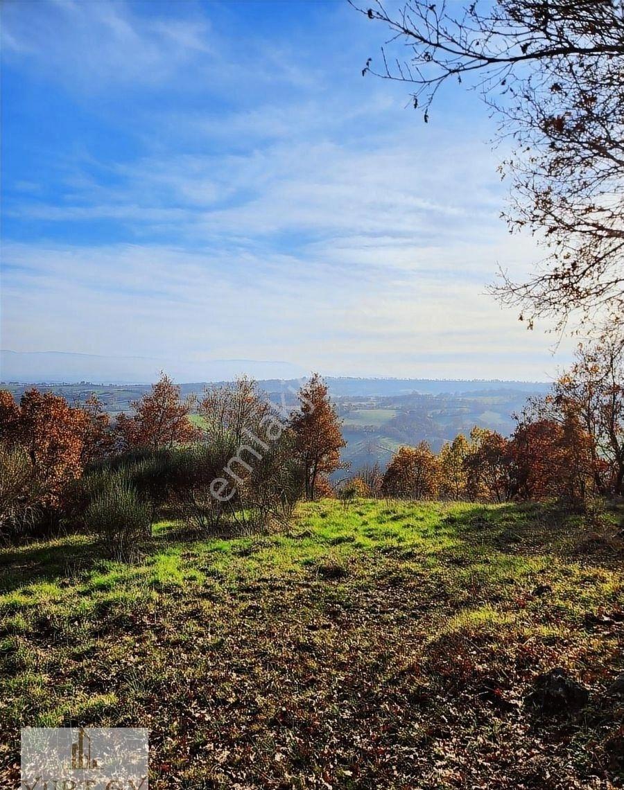 Çanakkale Çan 12.850 M2 Satılık Arazi - Görsel 24