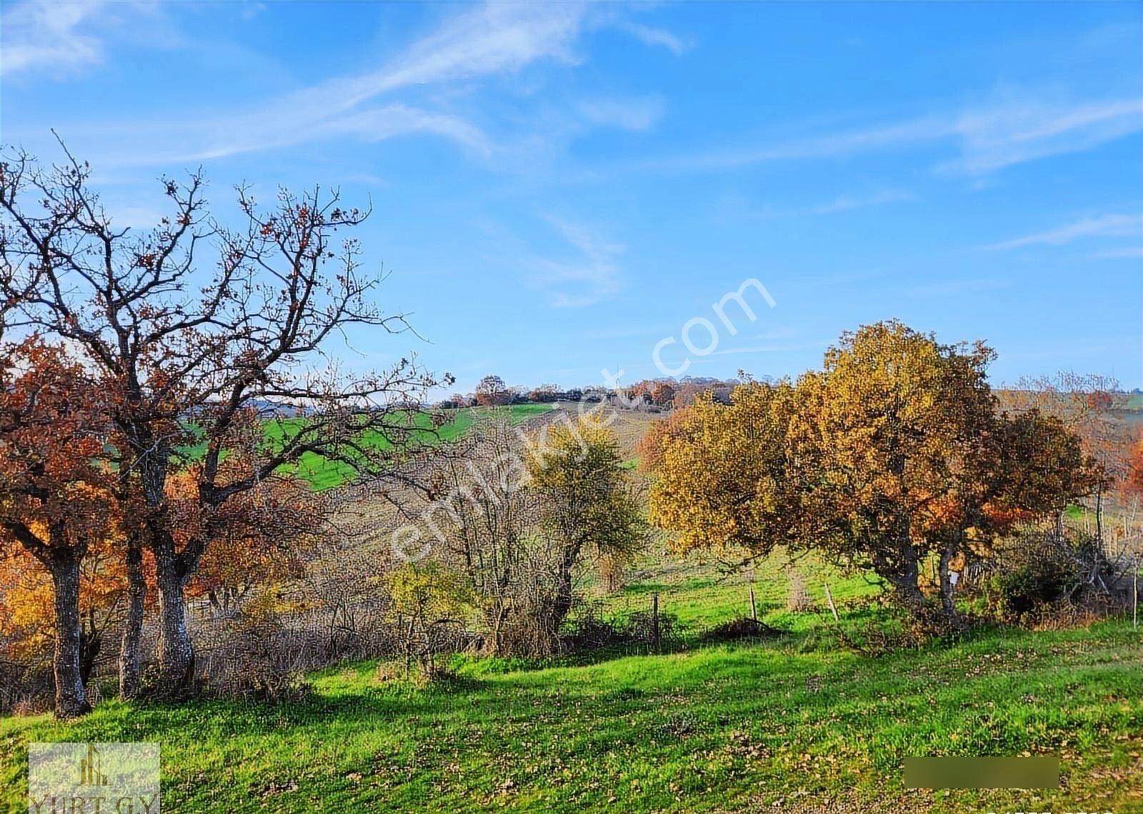 Çanakkale Çan 12.850 M2 Satılık Arazi - Görsel 22