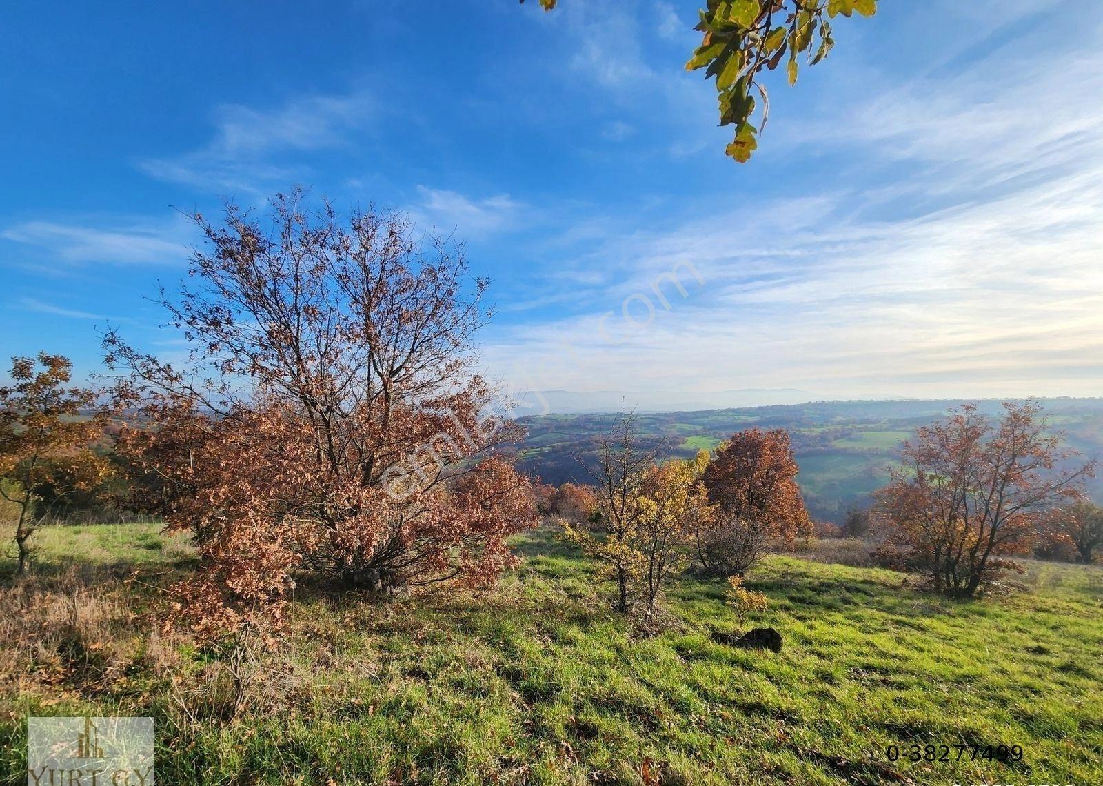 Çanakkale Çan 12.850 M2 Satılık Arazi - Görsel 23