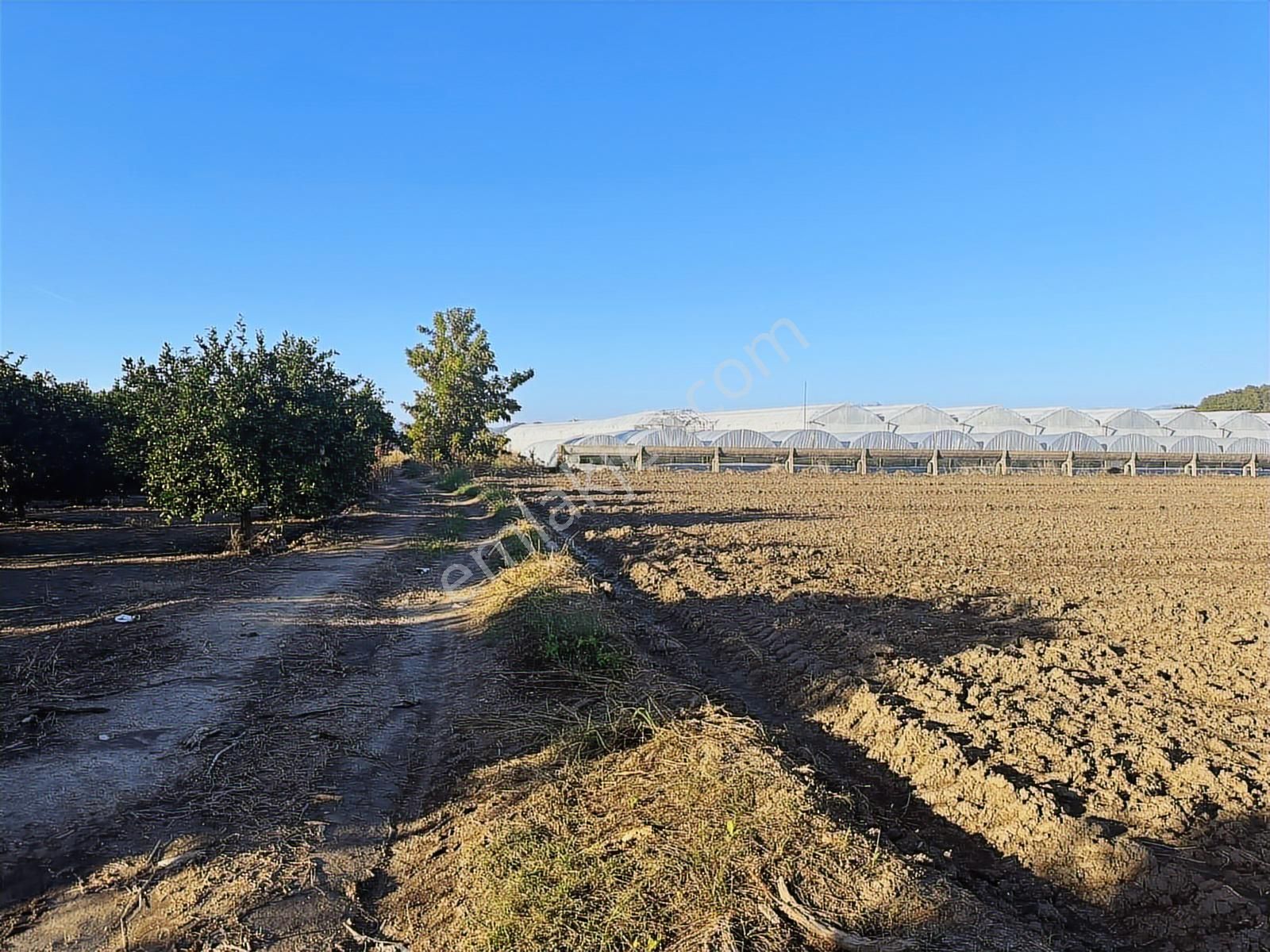Antalya Manavgat Bereket Mahallesi Satılık Tek Tapu Tarla - Görsel 12