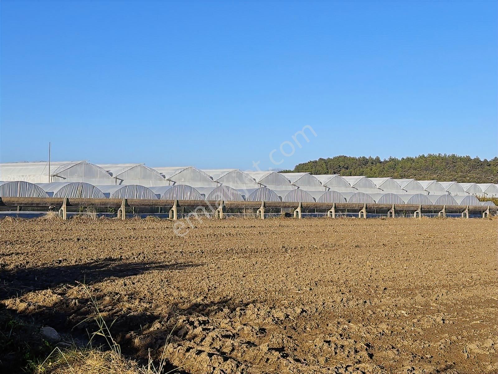 Antalya Manavgat Bereket Mahallesi Satılık Tek Tapu Tarla - Görsel 32