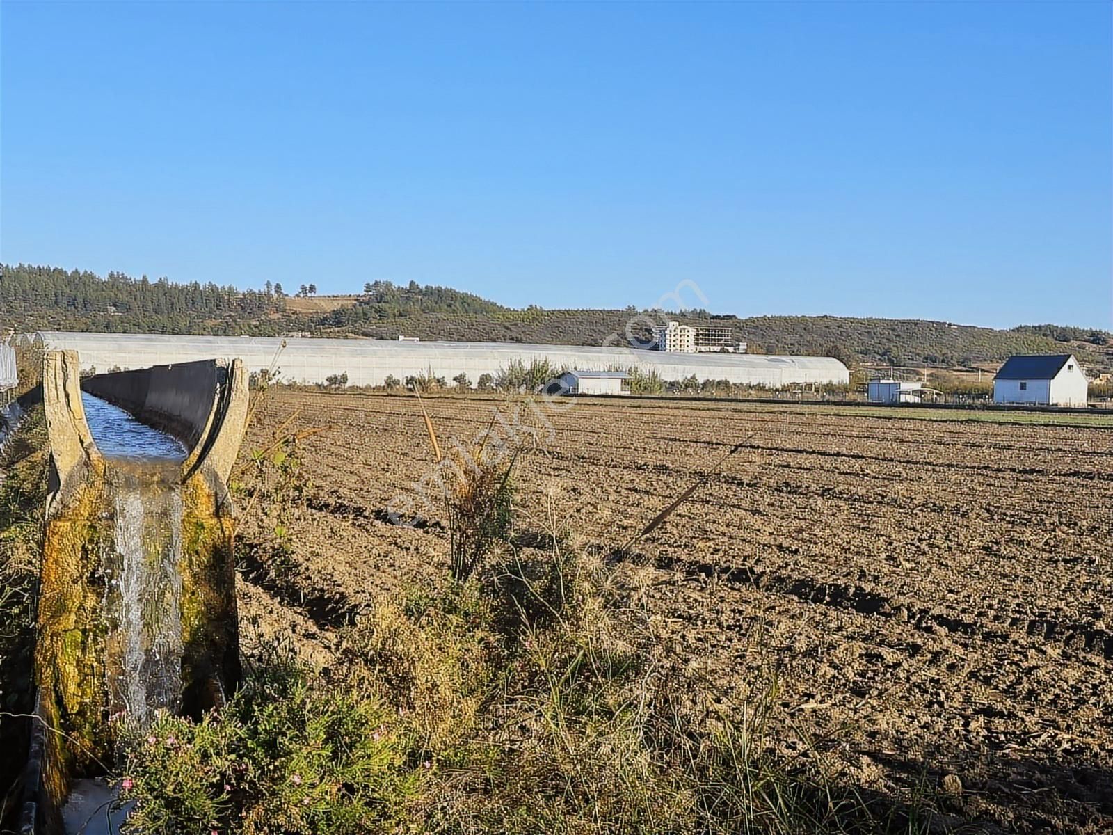 Antalya Manavgat Bereket Mahallesi Satılık Tek Tapu Tarla