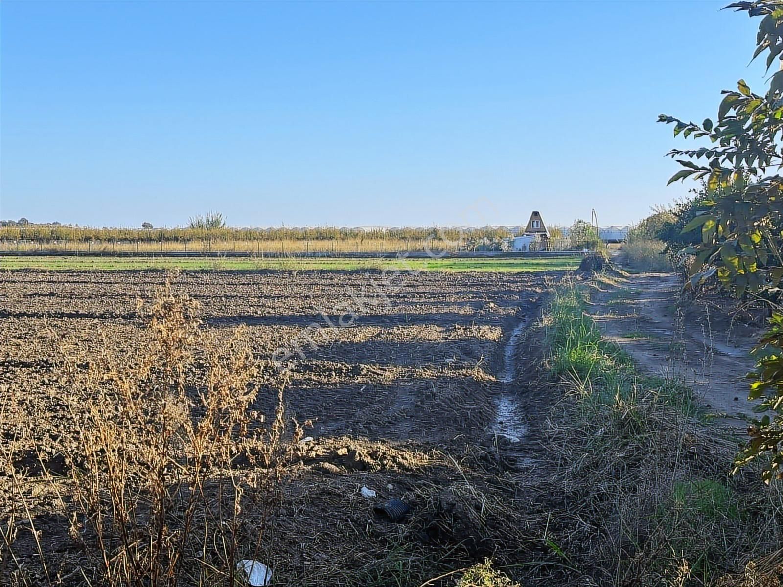 Antalya Manavgat Bereket Mahallesi Satılık Tek Tapu Tarla - Görsel 19
