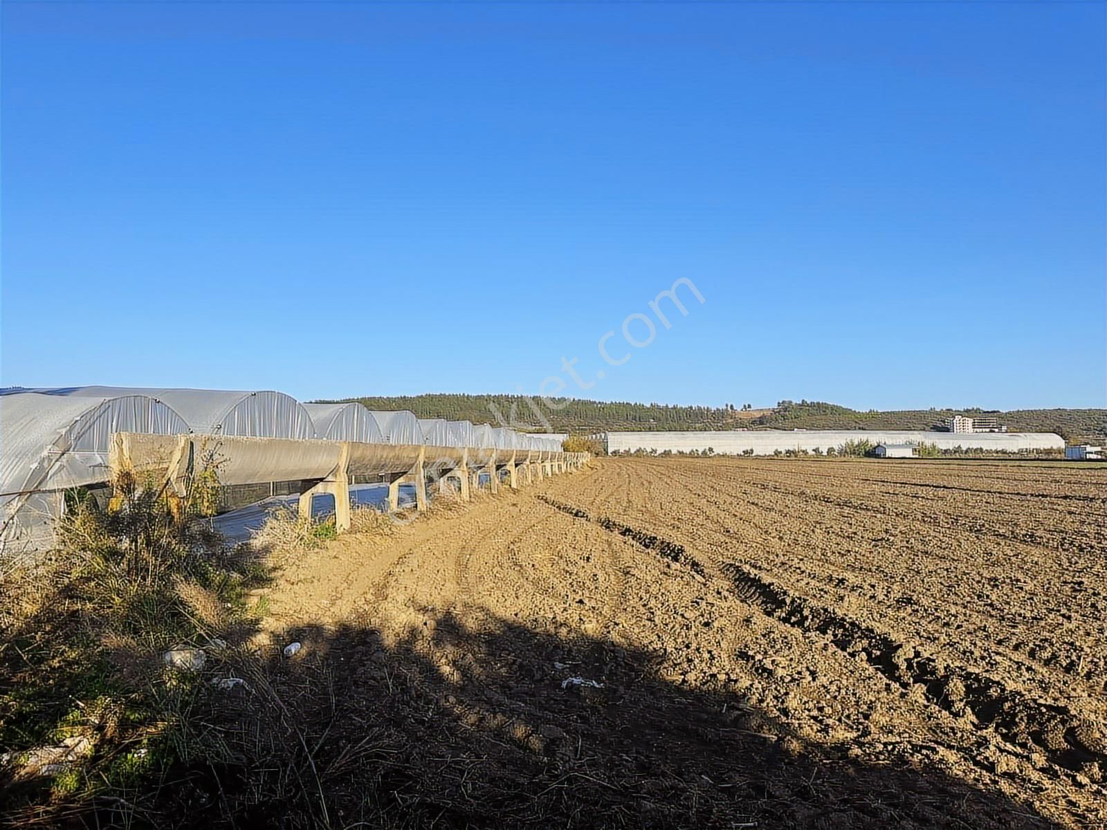 Antalya Manavgat Bereket Mahallesi Satılık Tek Tapu Tarla - Görsel 26