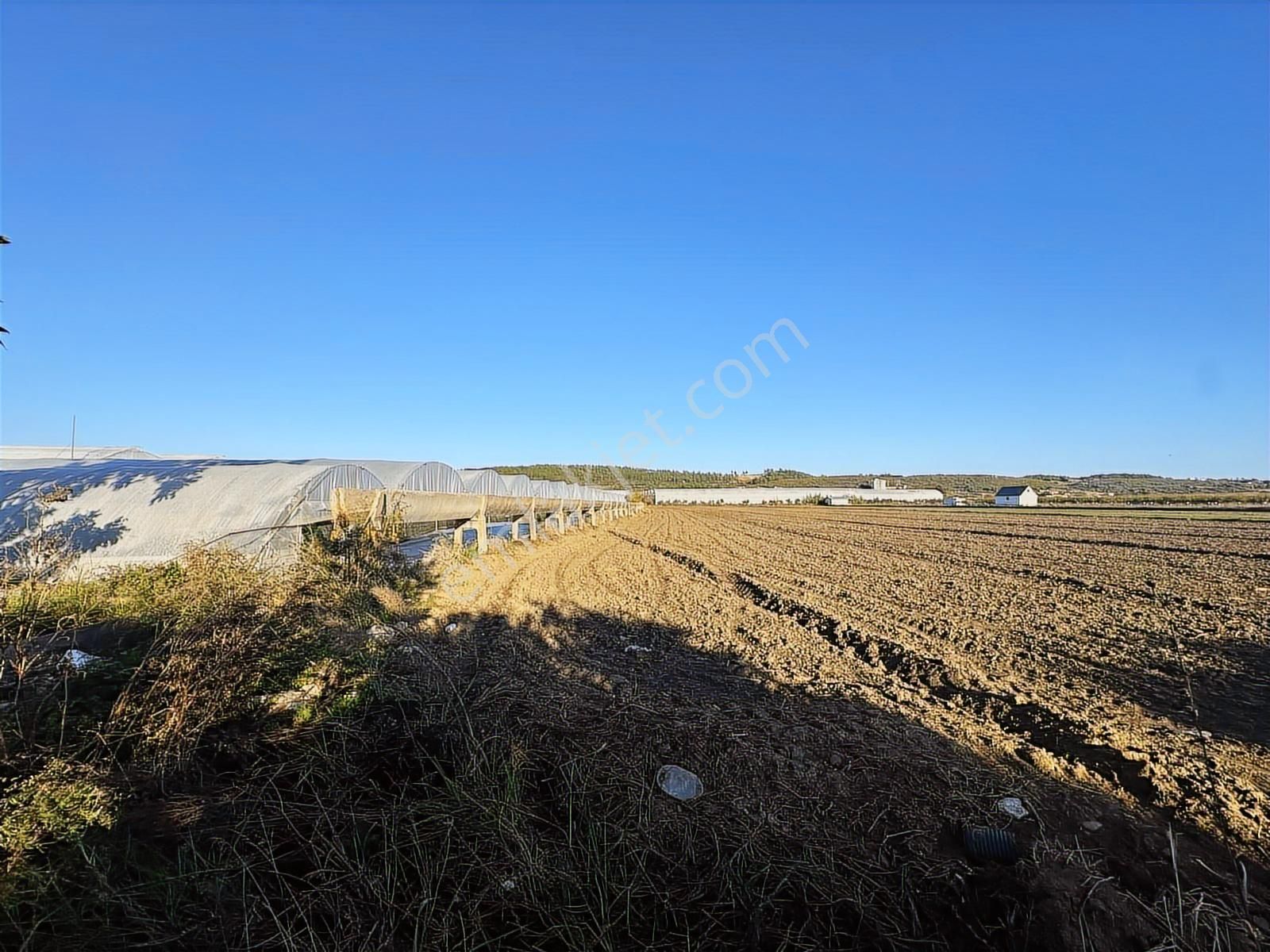 Antalya Manavgat Bereket Mahallesi Satılık Tek Tapu Tarla - Görsel 6