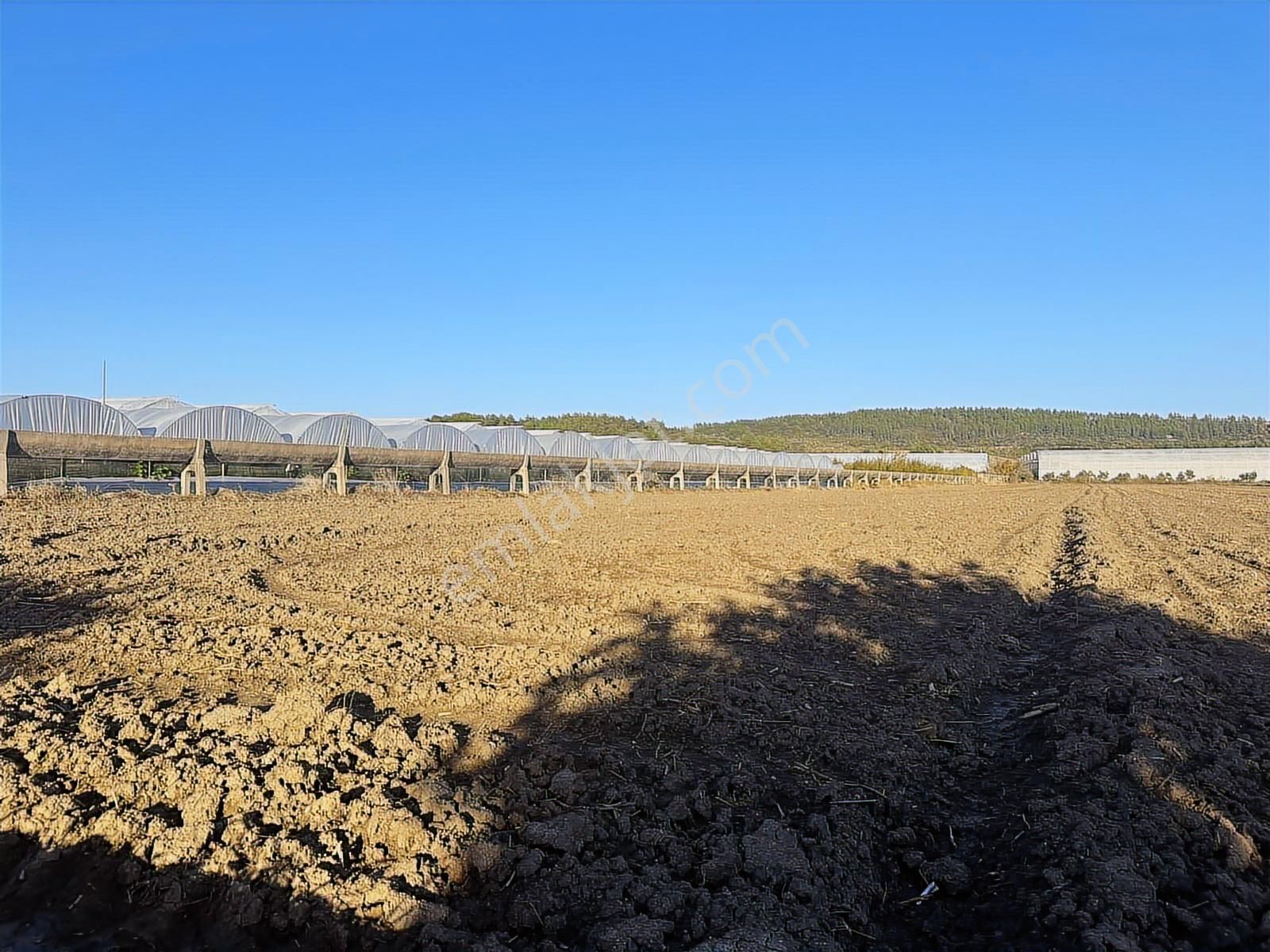 Antalya Manavgat Bereket Mahallesi Satılık Tek Tapu Tarla - Görsel 8