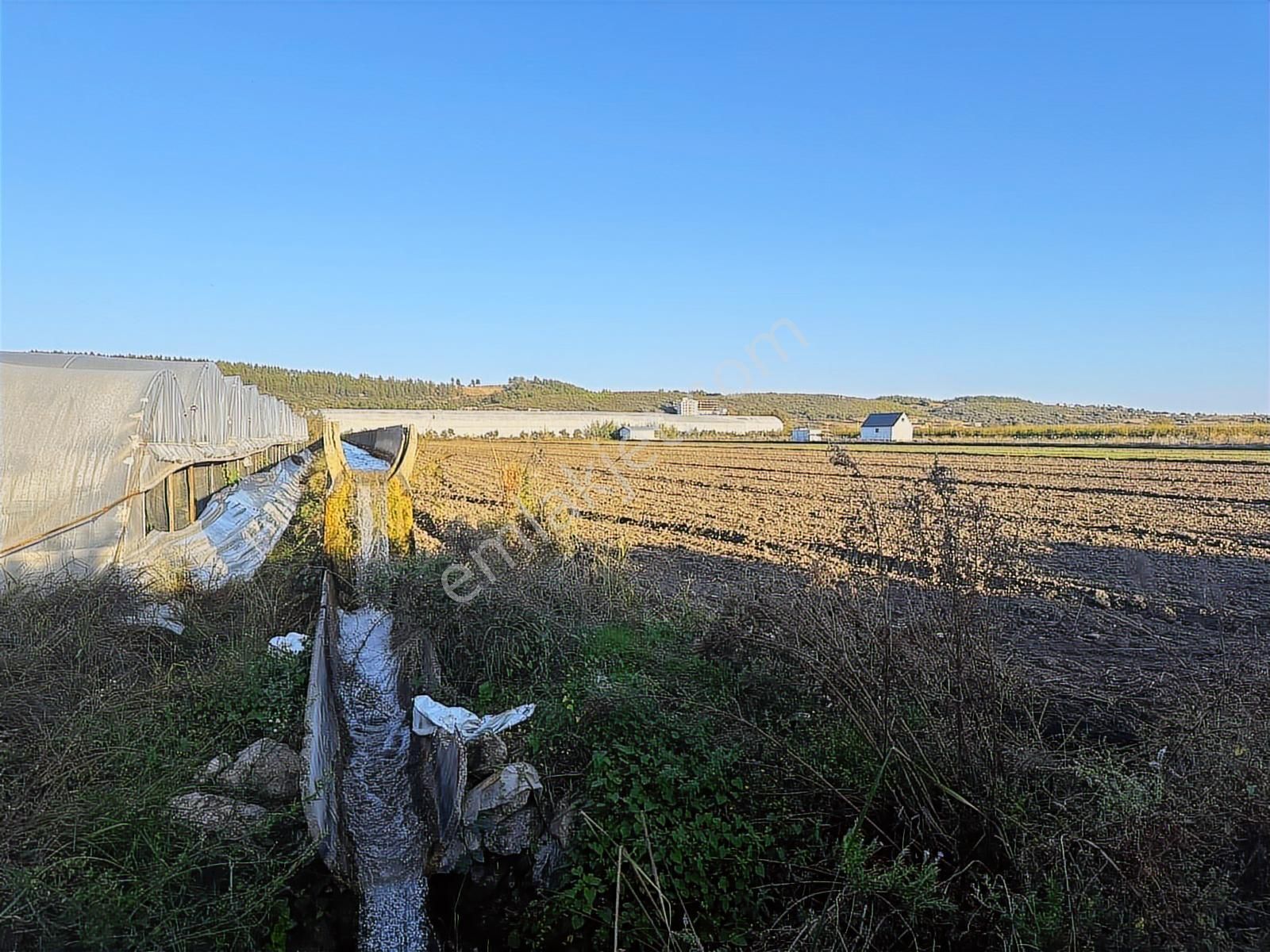 Antalya Manavgat Bereket Mahallesi Satılık Tek Tapu Tarla - Görsel 15