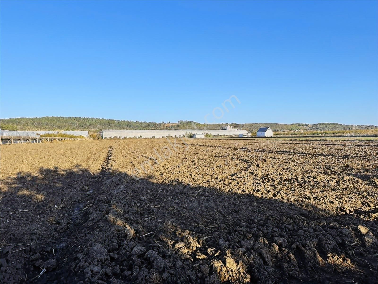 Antalya Manavgat Bereket Mahallesi Satılık Tek Tapu Tarla - Görsel 16