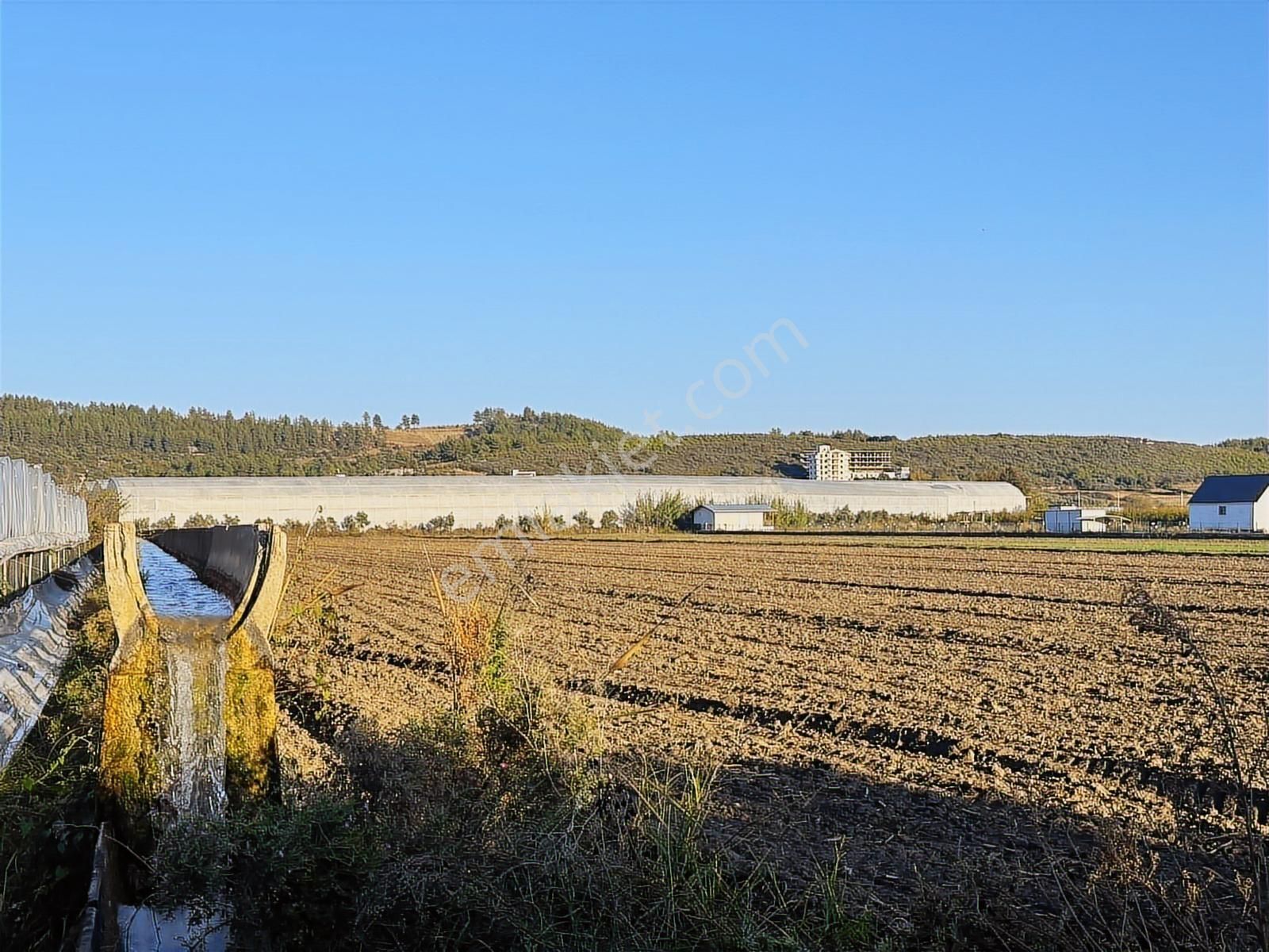 Antalya Manavgat Bereket Mahallesi Satılık Tek Tapu Tarla - Görsel 21
