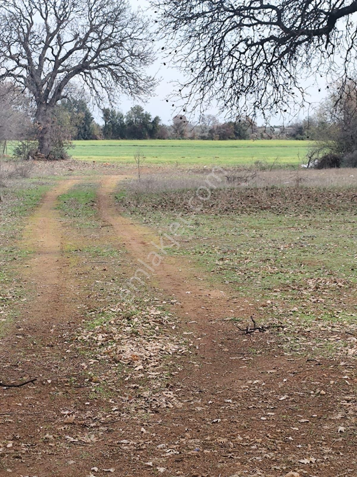 Kepez Odabaşı’nda Cadde Cepheli 10.666 M² Kiralık Tarlaönü Cadde . Elektrik Su Dibinde - Görsel 5