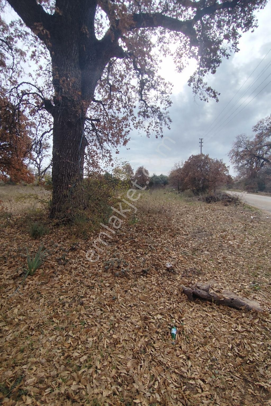 Kepez Odabaşı’nda Cadde Cepheli 10.666 M² Kiralık Tarlaönü Cadde . Elektrik Su Dibinde - Görsel 3