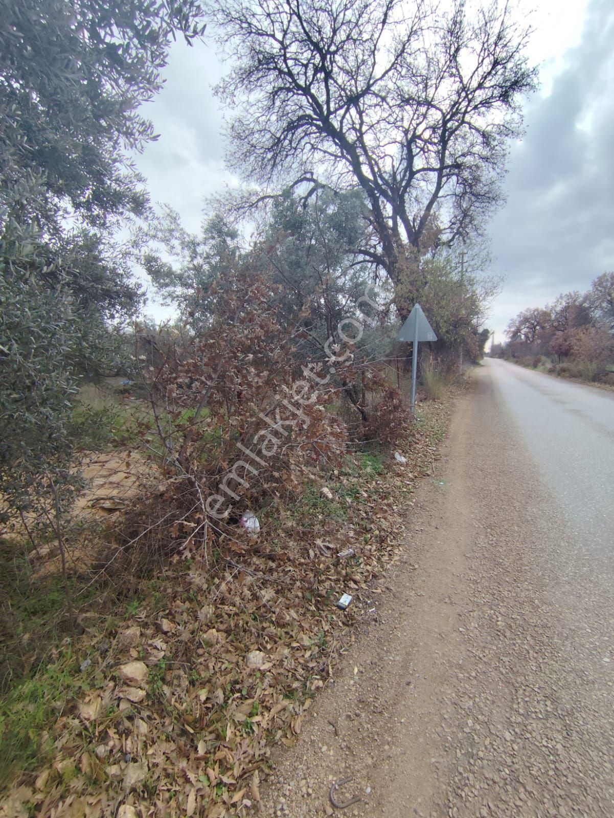 Kepez Odabaşı’nda Cadde Cepheli 10.666 M² Kiralık Tarlaönü Cadde . Elektrik Su Dibinde - Görsel 10