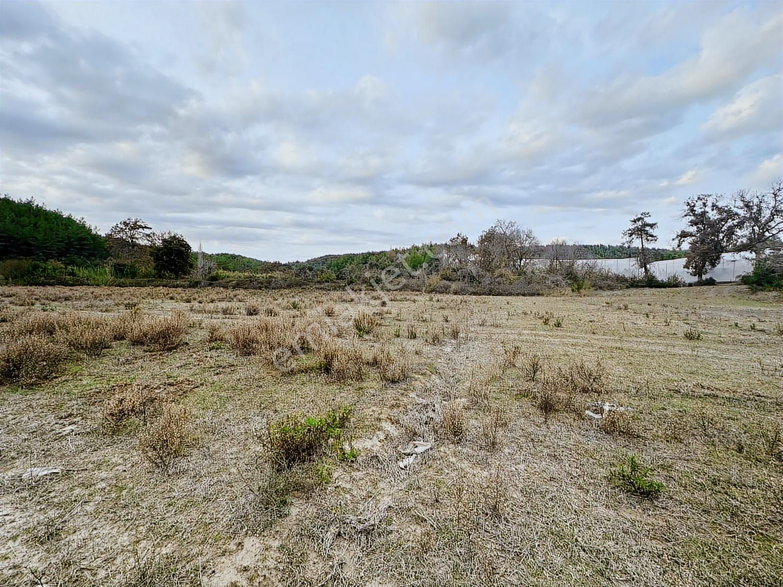 Antalya Manavgat Örenşehir Mahallesi Satılık Tarla - Görsel 16