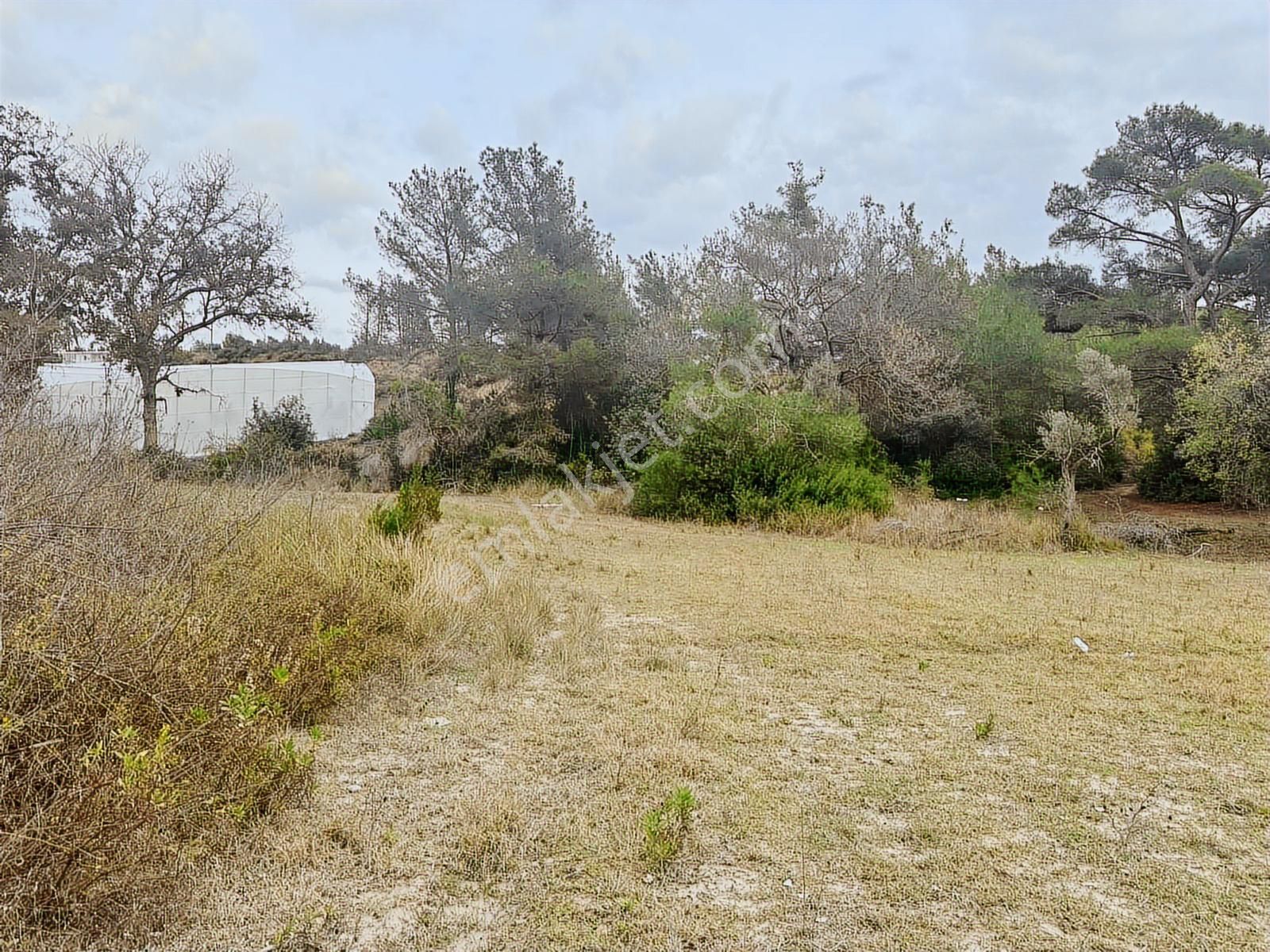 Antalya Manavgat Örenşehir Mahallesi Satılık Tarla - Görsel 8